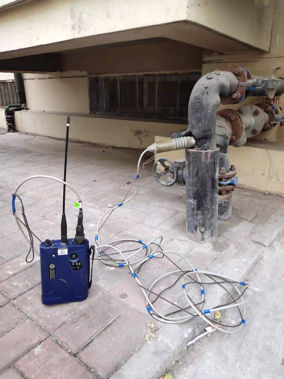 1609833239258722.jpg 112.jpg